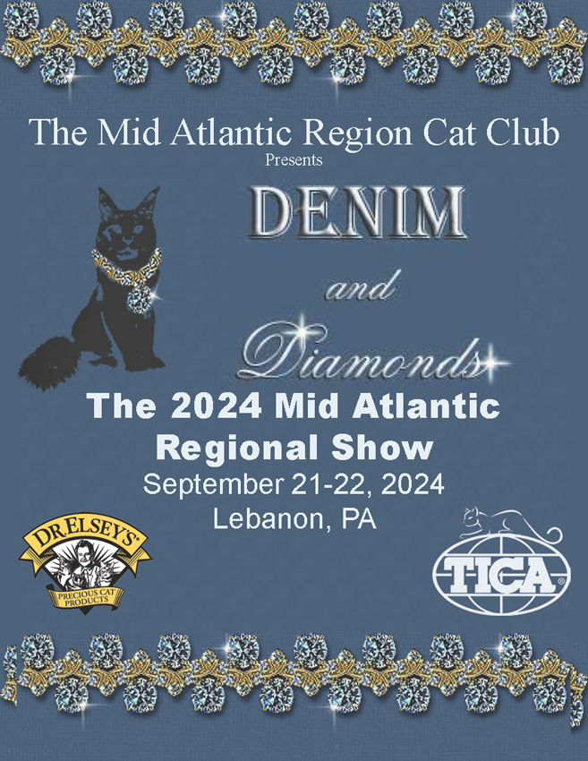 20240921_MA Regional