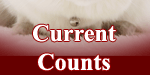 Current Counts