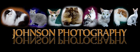 Show Photographer